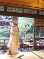 2011.12.8Cp.jpg